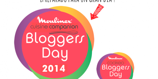 moulinex1